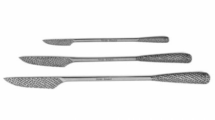 Stainless Steel Rasp